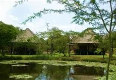 Sefapane Lodge and Safaris