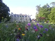 Chateau De Chanteloire Chouzy-sur-Cisse