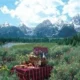 Four Seasons Resort Jackson Hole