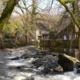 Le Moulin des Templiers