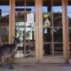 Kangaroo Island Wilderness Retreat