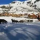 Les Chalets de l'Arvan II Saint-Sorlin-d'Arves