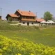 Srakovcic Heart of Nature Rural Retreat