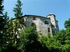 Burg Plankenstein