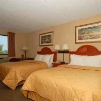 Comfort Inn University Amherst (New York)