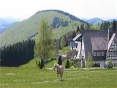 Wiesemann Berghotel Winterberg