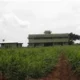 DLG Ranch DLG Ranch Mysore