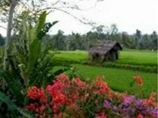 Putri Ayu Cottages Bali