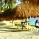 Flower Beach & Dive Resort Bohol