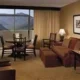 Park Vista - DoubleTree by Hilton Hotel - Gatlinburg