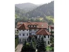 Hotelik Skalny