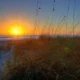 International Palms Resort & Conference Center Cocoa Beach