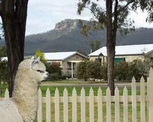 Starline Alpacas Farmstay Resort Broke