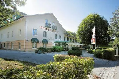 Beethoven Hotel Hinterbruhl