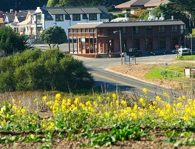 Davenport Roadhouse Inn (California)