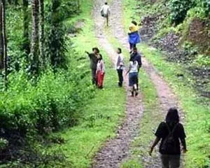 Coorg Planter's Camp