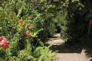 Inn At Shaw Park Gardens & Waterfalls Ocho Rios