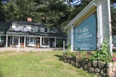 White Trellis Motel