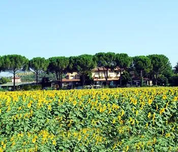 Vega Hotel Perugia