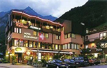 Hotel Fluelerhof