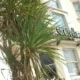 The Granville Hotel Brighton & Hove