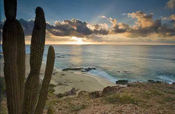 Westin Los Cabos Resort Cabo San Lucas