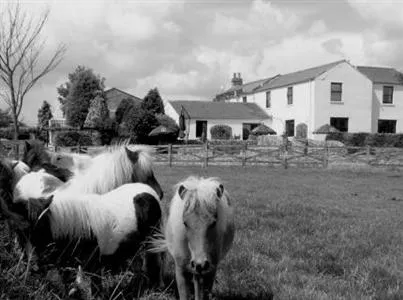 Jersey Farm Country Hotel Barnard Castle