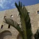 S. Martin Hotel Giovinazzo