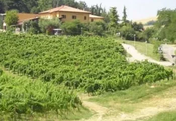 Borgo Delle Vigne Hotel Zola Predosa