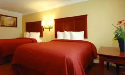 Quality Inn & Suites Cypress