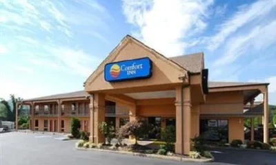 Comfort Inn Johnson City