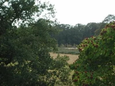 Bushy Park Lodge London