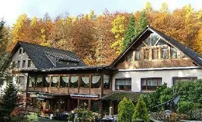 Siegerland-Hotel Haus im Walde