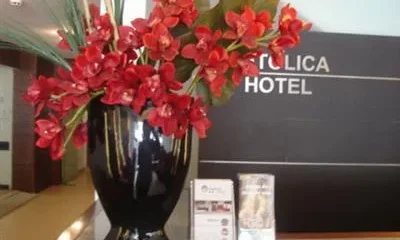 Catolica Hotel