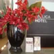 Catolica Hotel