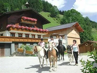 Bauernhof Hinterfischbach Vacation Homes Radstadt