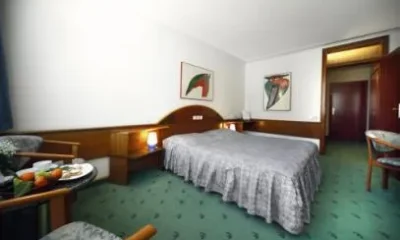 Hotel Grad Novo Mesto