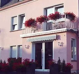 Weingut und Gastehaus Alexanderhof Leiwen