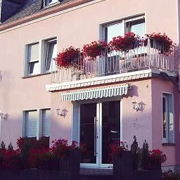 Weingut und Gastehaus Alexanderhof Leiwen