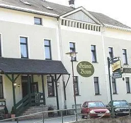 Hotel Grüner Baum Breitenbrunn (Saxony)