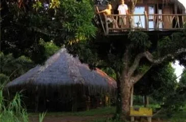 Art Jungle Eco Lodge