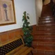 Hostal Infantes Toledo