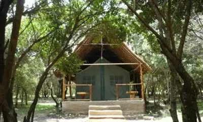 Enchoro Wildlife Camp Tents Masai Mara