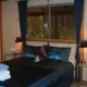 A Splendid Wren Pemberton Bed & Breakfast Retreat