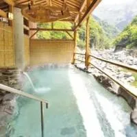 Hotel Iyaonsen