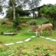 Fazenda Rancho Eldorado