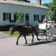 Historic Wilson-Guy House