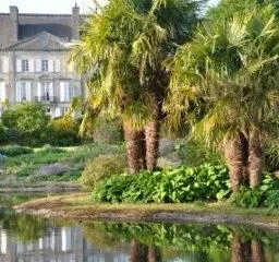 Chateau de la Foltiere