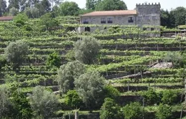 Quinta De Pais Turismo Rural