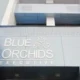 Hotel Blue Orchid Excutive